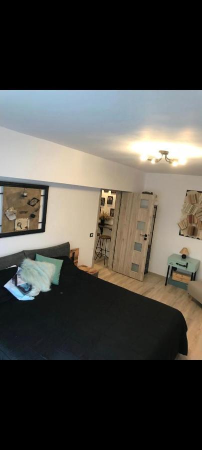 Artstudio Brašov Exteriér fotografie